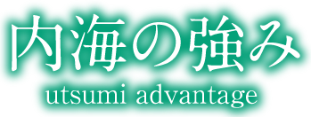 内海の強み